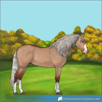 Horse Color:Silver Bay Dun 