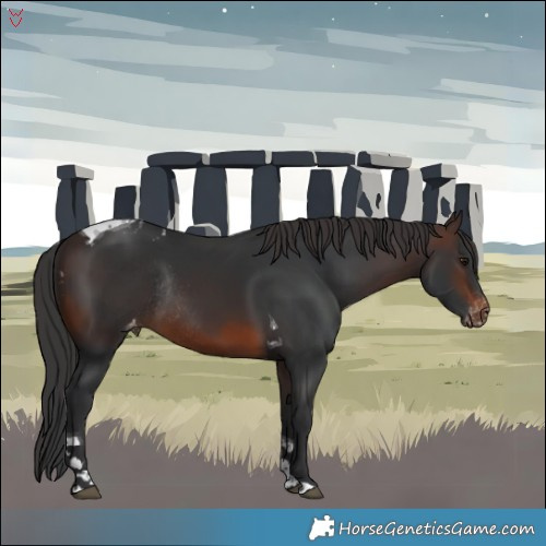 Horse Color:Brown Tobiano Skewed Appaloosa Rabicano