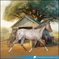Horse Color:Liver Red Roan Pearl Skewed LP Spotted