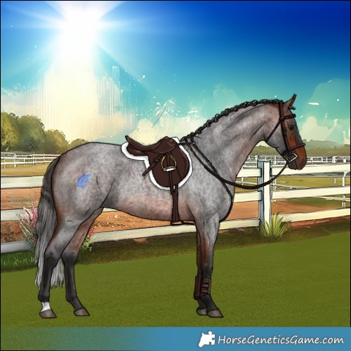 Horse Color:Bay Roan Rabicano 