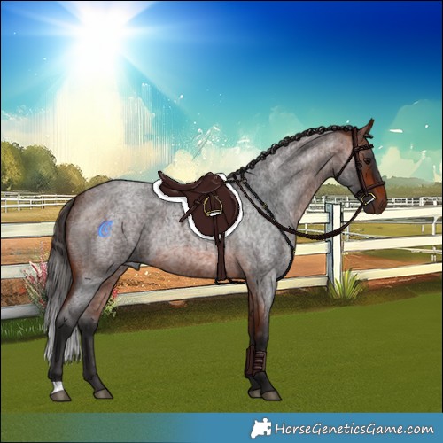 Horse Color:Bay Roan Rabicano 