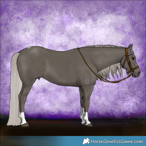 Horse Color:Silver Black Tobiano 