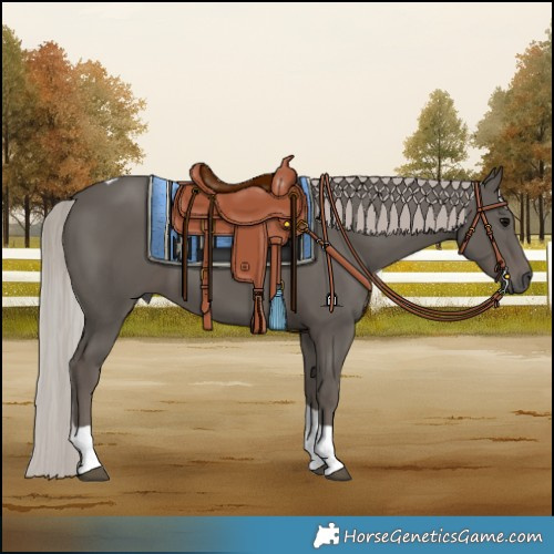 Horse Color:Silver Black Tobiano 