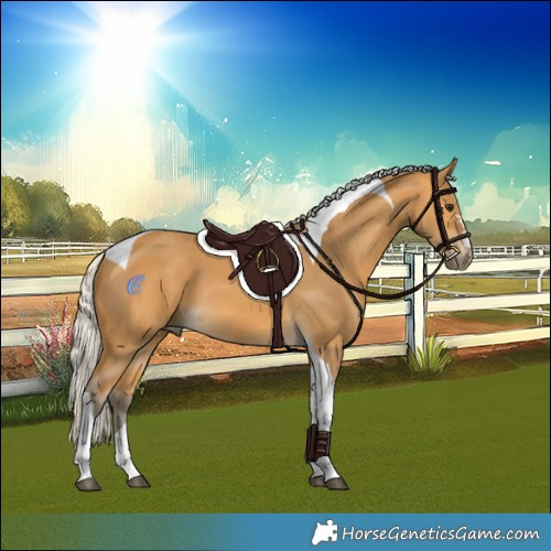 Horse Color:Silver Buckskin Tobiano 