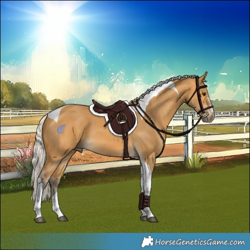 Horse Color:Silver Buckskin Tobiano 