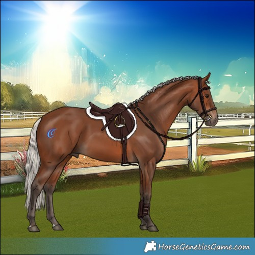 Horse Color:Silver Brown 