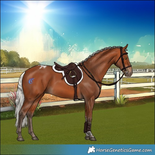 Horse Color:Silver Bay Tobiano Rabicano