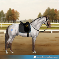 Horse Color:Sable Champagne Roan Varnish Rabicano 