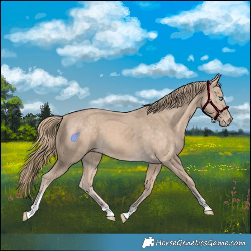 Horse Color:Perlino Tobiano 