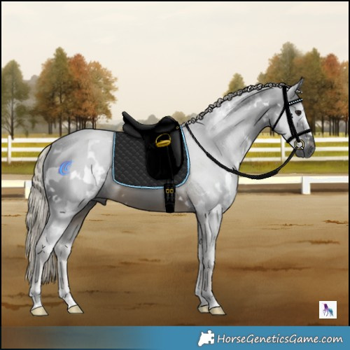 Horse Color:Gray White Spotted Silver Buckskin 