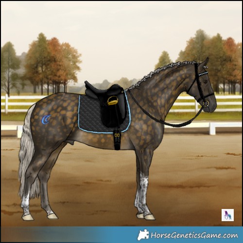 Horse Color:Silver Buckskin Tobiano 