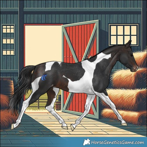 Horse Color:Brown Tobiano Skewed LP Spotted 