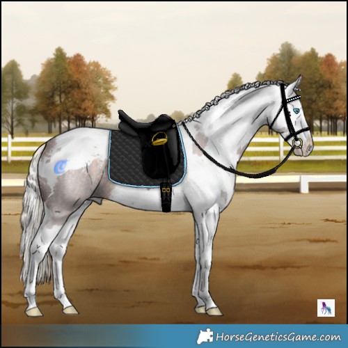 Horse Color:Powder White Silver Brown Roan Harlequin Merle Splash 