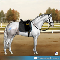Horse Color:Powder White Silver Brown Roan Harlequin Merle Splash 