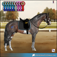 Horse Color:Brown Rabicano 