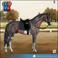 Horse Color:Brown Rabicano