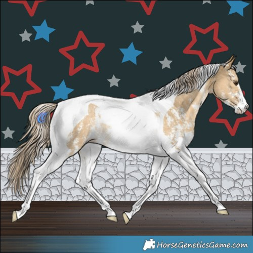 Horse Color:Chocolate Palomino Dun Sabino Tobiano Rabicano