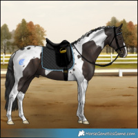 Horse Color:Liver Chestnut Tobiano 