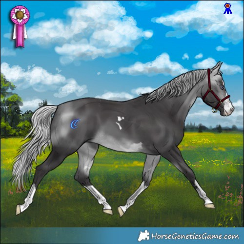 Horse Color:Silver Buckskin Chinchilla 