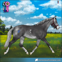 Horse Color:Silver Buckskin Chinchilla