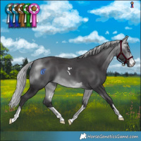 Horse Color:Silver Buckskin Chinchilla