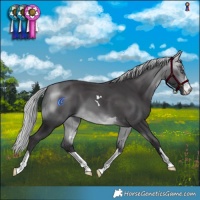 Horse Color:Silver Buckskin Chinchilla