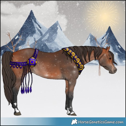 Horse Color:Bay Rabicano 