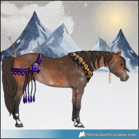Horse Color:Bay Rabicano 
