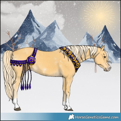 Horse Color:Palomino 