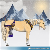 Horse Color:Palomino 