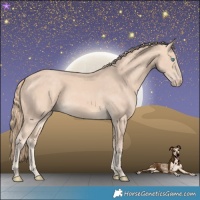 Horse Color:Perlino