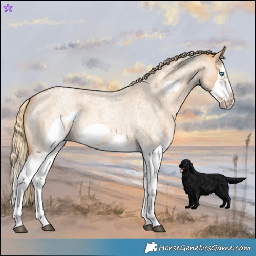 Horse Color:Red Dun Roan Splash Frame Rabicano 