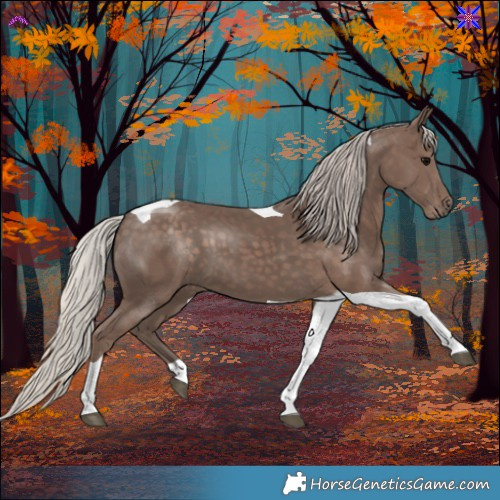 Horse Color:Silver Black Tobiano 