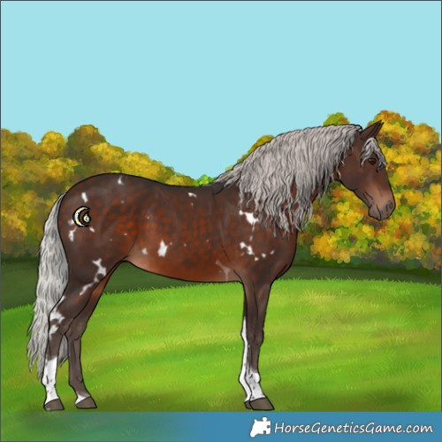 Horse Color:White Spotted Silver Brown Tobiano 