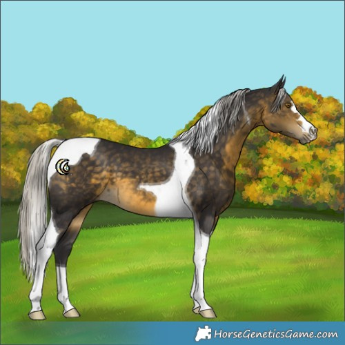 Horse Color:Silver Buckskin Tobiano 