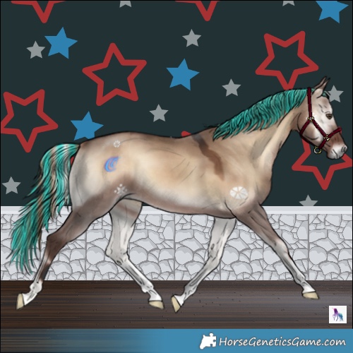 Horse Color:Painted Liver Red Dun Onyx 