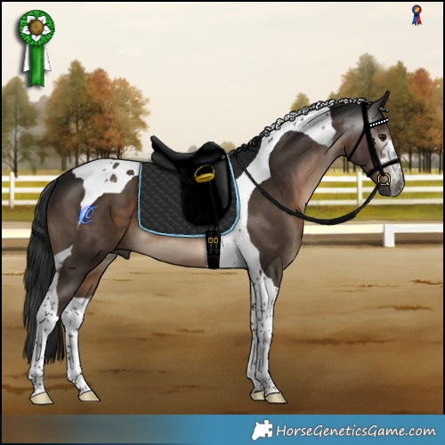 Horse Color:Gray Bay Mushroom Tobiano 