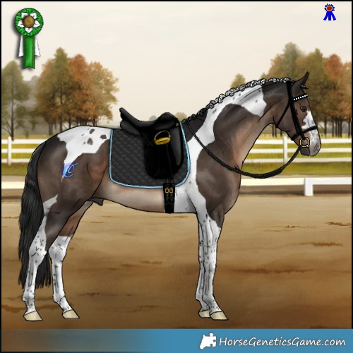 Horse Color:Gray Bay Mushroom Tobiano 