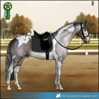 Horse Color:Gray Bay Mushroom Tobiano 