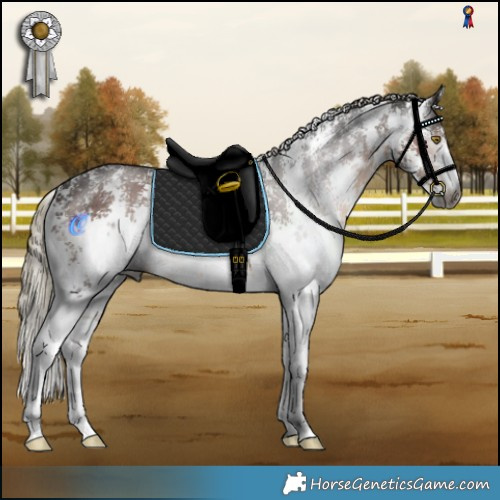 Horse Color:Gray Liver Chestnut Mushroom Sabino