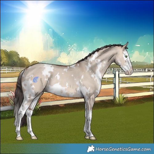Horse Color:White Spotted Sable Champagne Dun Sabino Splash Rabicano