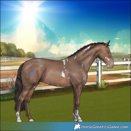Horse Color:White Spotted Sable Champagne Tobiano