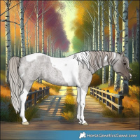 Horse Color:Silver Blue Roan Tobiano