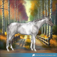 Horse Color:Silver Blue Roan Tobiano 