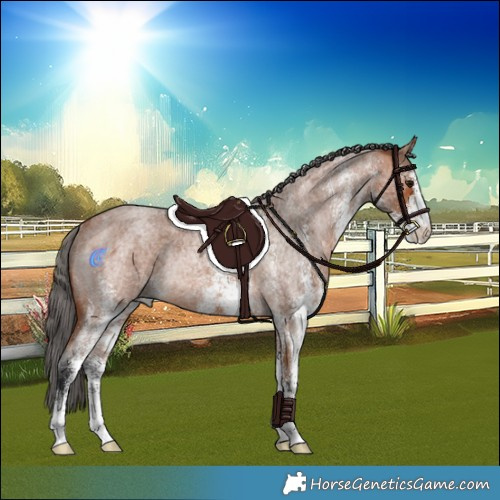 Horse Color:White Spotted Bay Roan Merle Rabicano 