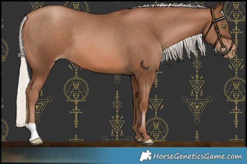 Horse Color:Silver Brown Pearl 
