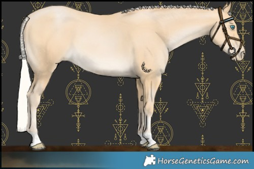 Horse Color:Silver Buckskin Pearl 