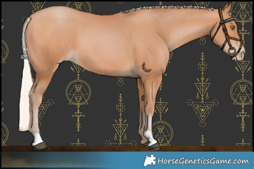 Horse Color:Silver Bay Pearl 
