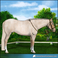 Horse Color:Chocolate Palomino Roan Pearl 