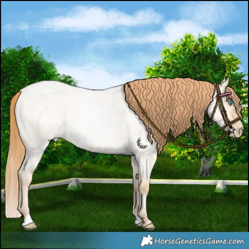 Horse Color:Buckskin Roan Pearl Dun 